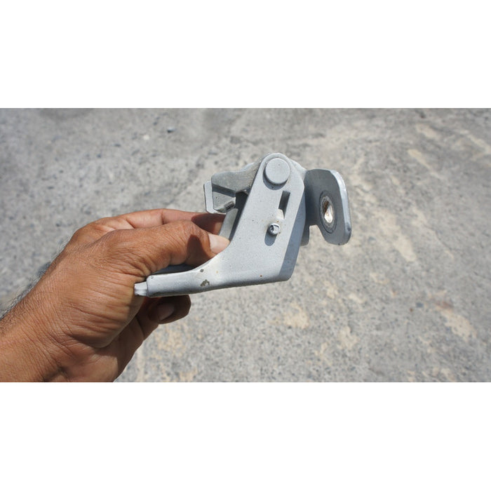 Par Bisagras De Puerta Delantera Izquierda Flex 2009-2019