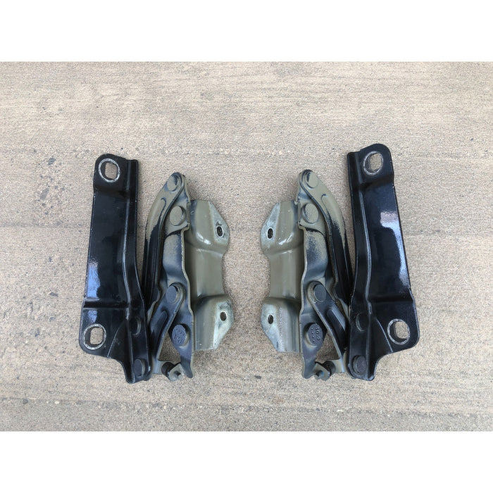 Set Bisagras De Cofre Cadillac Xts 2013 2014 2015 2016 2017