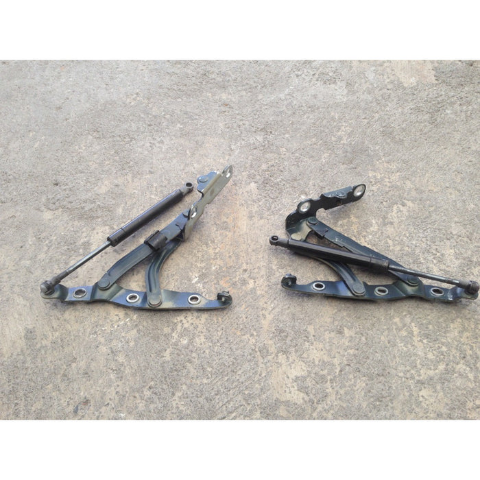 Set Bisagras Cajuela Nissan Maxima 2009 Al 2014