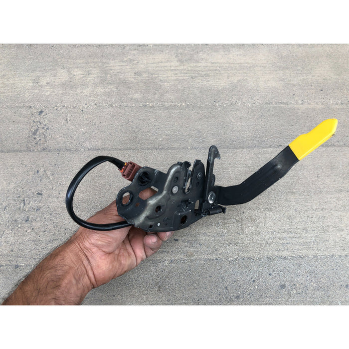 Chapa De Cofre Original Para Nissan Maxima 2016-2023