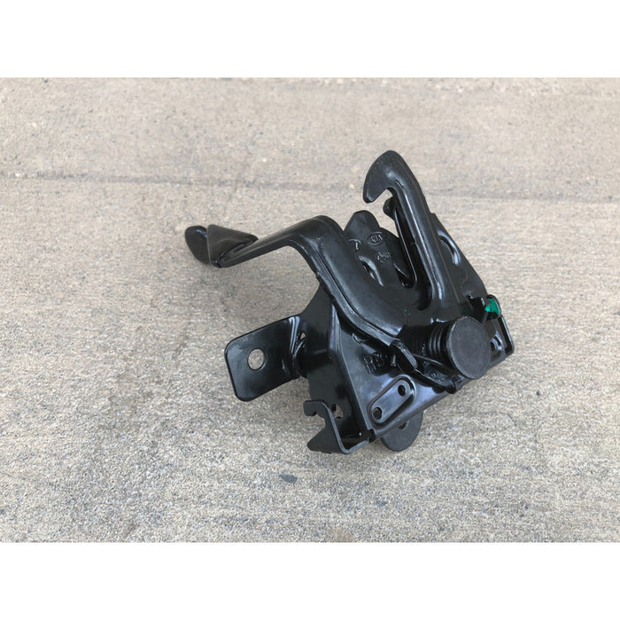 Chapa De Cofre Hyundai Accent 2012 Al 2017