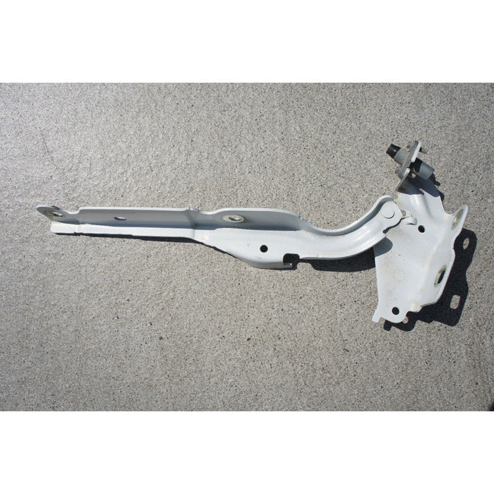 Bisagra De Cofre Derecha Ford Lobo 2011 Al 2016