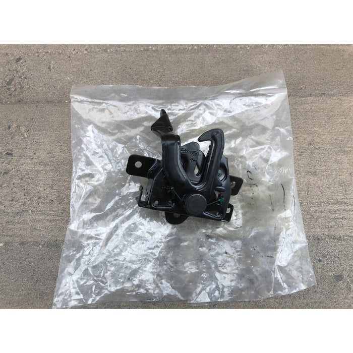 Chapa De Cofre Hyundai Accent 2012 Al 2017