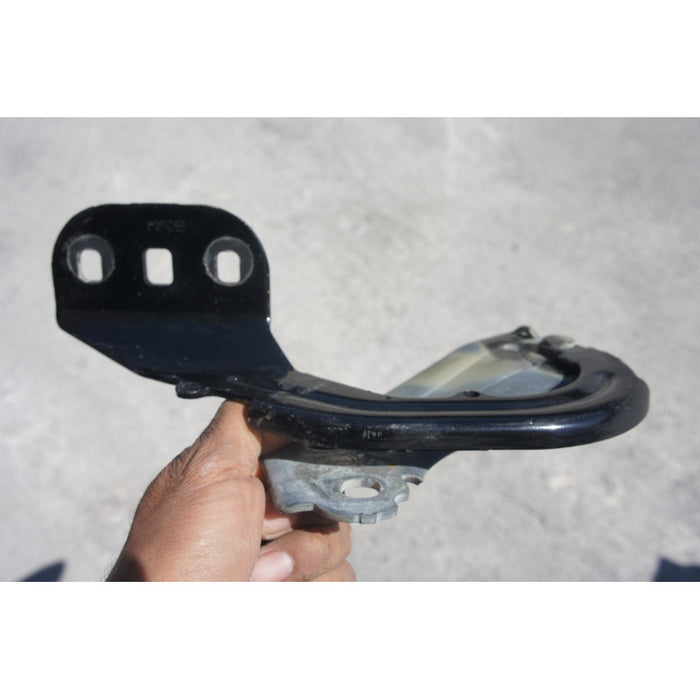 Bisagra De Cofre Derecha Ford Escape 2013-2016 (original)