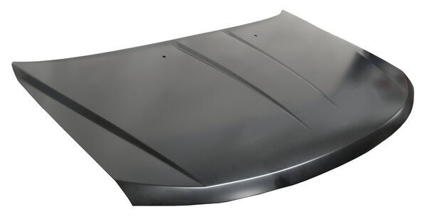 Cofre para Dodge Journey 2009, 2010, 2011, 2012, 2013, 2014, 2015, 2016, 2017, 2018, 2019, 2020 - de Metal