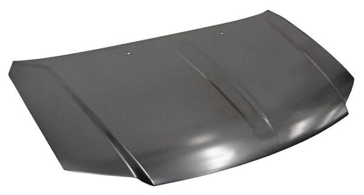 Cofre para Chrysler Town & Country 2011, 2012, 2013, 2014, 2015, 2016 & Dodge Caravan 2011, 2012, 2013, 2014, 2015, 2016, 2017, 2018, 2019 - de Metal