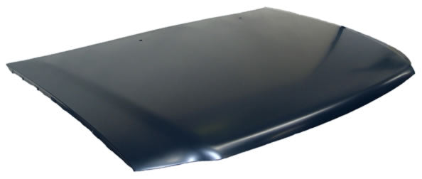 Cofre para Camioneta Ford F150, F250 1997-2009 & Expedition 1997, 1998, 1999, 2000, 2001, 2002 - de Metal