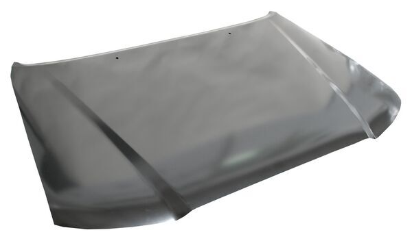 Cofre para Toyota Tacoma 2005, 2006, 2007, 2008, 2009, 2010, 2011 - Sin Toma Aire