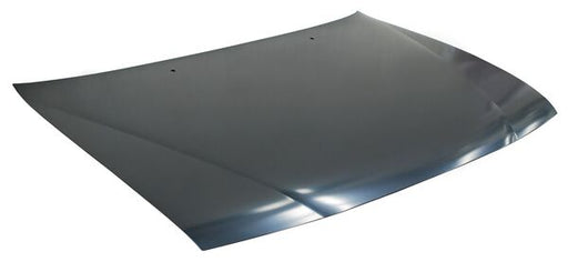 Cofre para Nissan Sentra 1996, 1997, 1998, 1999, 2000 & Lucino 1996, 1997, 1998