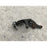 Mango Delantero Izquierdo Para Elantra 2017, 2018, 2019, 2020 Motor 2.0, 4 Cilindros - Original
