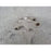 Mango Trasero Izquierdo Original Para Chevrolet Equinox 2018, 2019, 2020, 2021, 2022 Motor 2.0