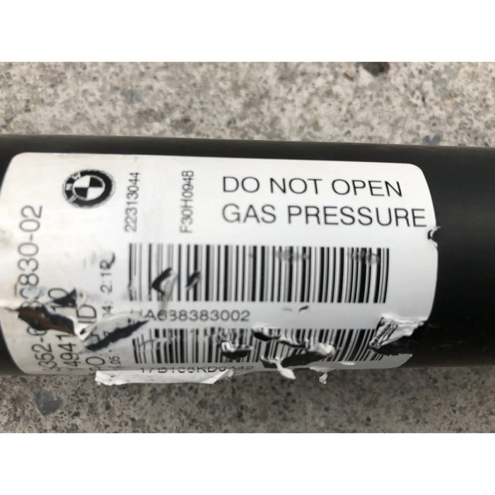 Amortiguador Trasero Izquierdo Para Bmw 320 (serie 3) 2013, 2014, 2015, 2016, 2017, 2018 (motor 2.0 Litros) Original