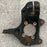 Mango Delantero Izquierdo Original Para Mini Cooper 2007, 2008, 2009, 2010, 2011, 2012, 2013, 2014, 2015 Motor 1.6