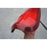 Calavera Derecha Original Para Ford Lobo, F150, F250 2008, 2009, 2010, 2011, 2012, 2013, 2014, 2015, 2016 Rojo