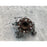 Mango Trasero Izquierdo Para Honda Accord 2018, 2019, 2020, 2021, 2022 Motor 1.5, Original