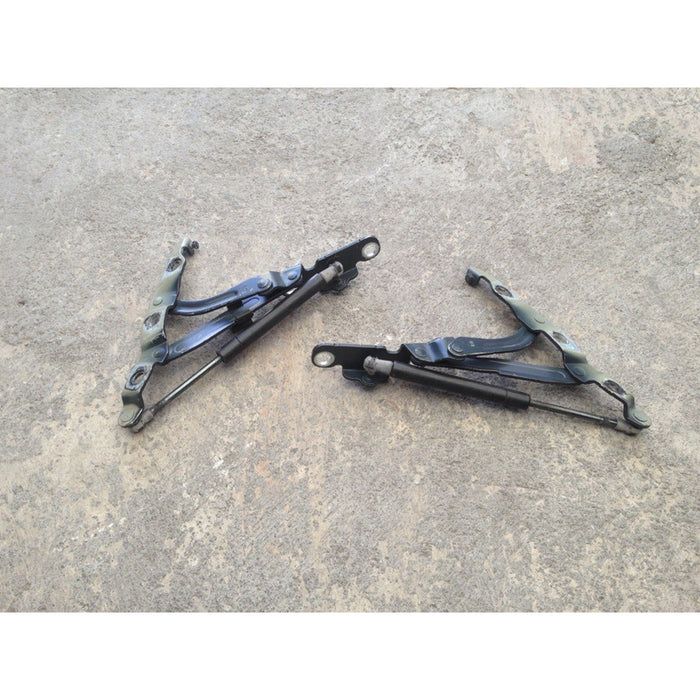Set Bisagras Cajuela Nissan Maxima 2009 Al 2014