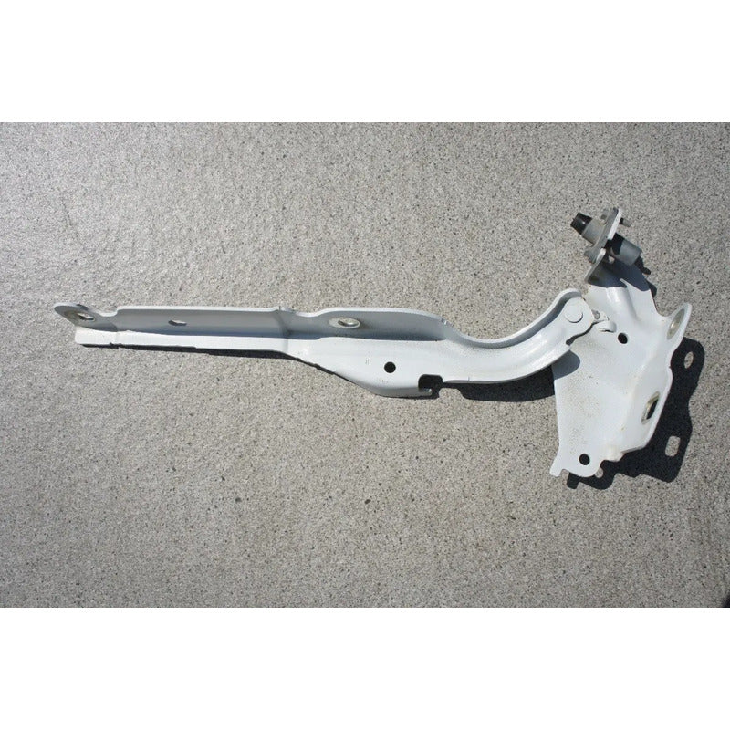 Bisagra De Cofre Derecha Para Ford Lobo 2011, 2012, 2013, 2014, 2015, 2016 - Original