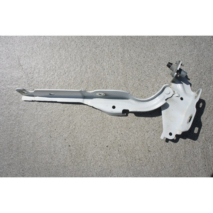 Bisagra De Cofre Derecha Para Ford Lobo 2011, 2012, 2013, 2014, 2015, 2016 - Original