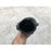 Manguera Porta Filtro Rav4 2013, 2014, 2015, 2016, 2017, 2018 Motor 2.5 (original)