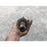 Junta Homocinetica Trasera Izquierda Para Nissan Rogue 2014, 2015, 2016, 2017, 2018, 2019 Motor 2.5 - Original