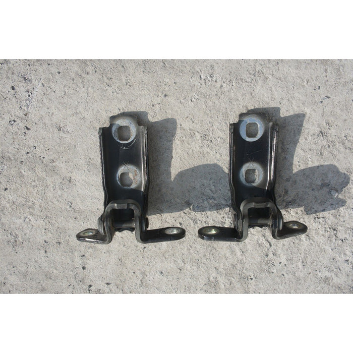Juego Bisagras De Puerta Delantera Izquierda Cts 2008-2014