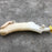 Deposito De Anticongelante Para Dodge Caravan 2008, 2009, 2010, 2011, 2012, 2013, 2014, 2015, 2016 V6 (original)