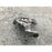Mango Trasero Derecho Para Honda Accord Sedan 2018, 2019, 2020, 2021, 2022 Motor 1.5 Gris