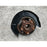 Mango Trasero Izquierdo Para Infiniti Q50 2014, 2015, 2016, 2017, 2018, 2019, 2020, 2021, 2022 Motor 3.7