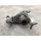 Diferencial Trasero Para Audi A4 2017, 2018, 2019, 2020, 2021 - Motor 2.0 Turbo, Original
