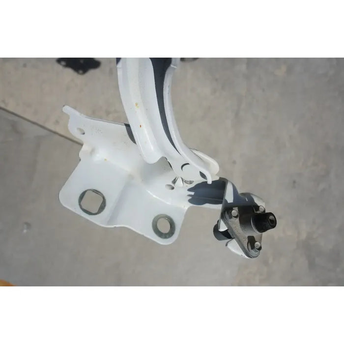Bisagra De Cofre Derecha Para Ford Lobo 2011, 2012, 2013, 2014, 2015, 2016 - Original
