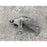 Mango Trasero Derecho Chevrolet Blazer 2019 2020 2021 2022 2023 Motor 2.5, Original Gris