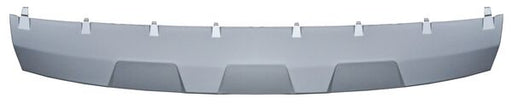 Moldura Fascia Delantera para BMW X1 2020, 2021 Plata